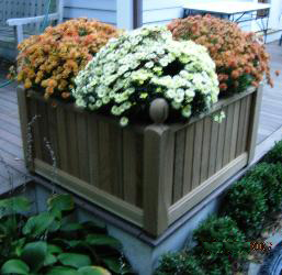 Corner Planter Box
